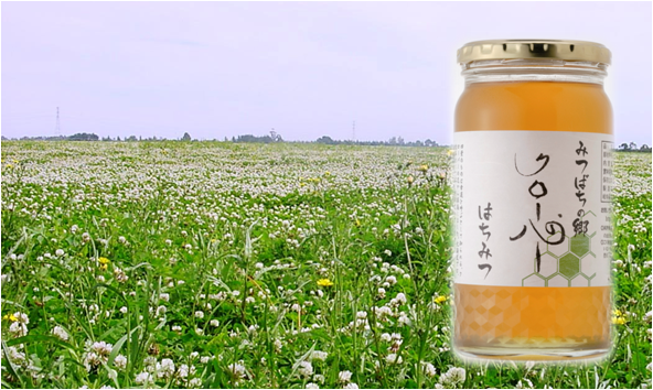 さわやかな味 北海道産クローバー蜂蜜 さわやかな味 北海道産クローバー蜂蜜
