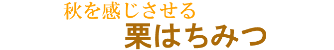 秋を感じさせる栗はちみつ