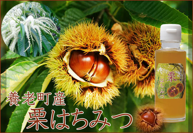 養老町産栗はちみつ